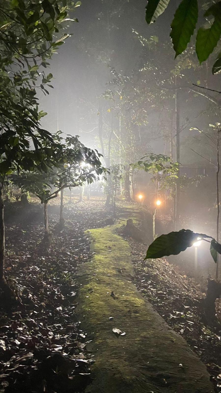 Lotus Jewel Forest Camping Sultan Bathery Exteriér fotografie